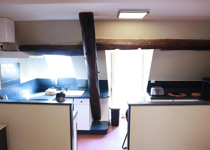 Sejour Tout Confort En Plein Coeur De Nevers, Studios Galet-Carbone Ou Terra Cotta